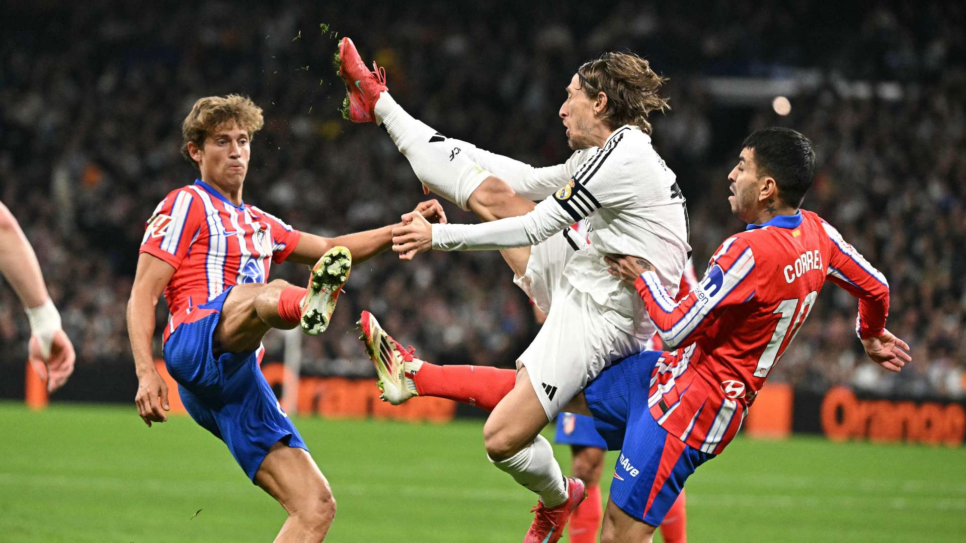 对运动员的 对运动员的